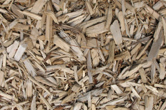 biomass boilers Gipton Wood